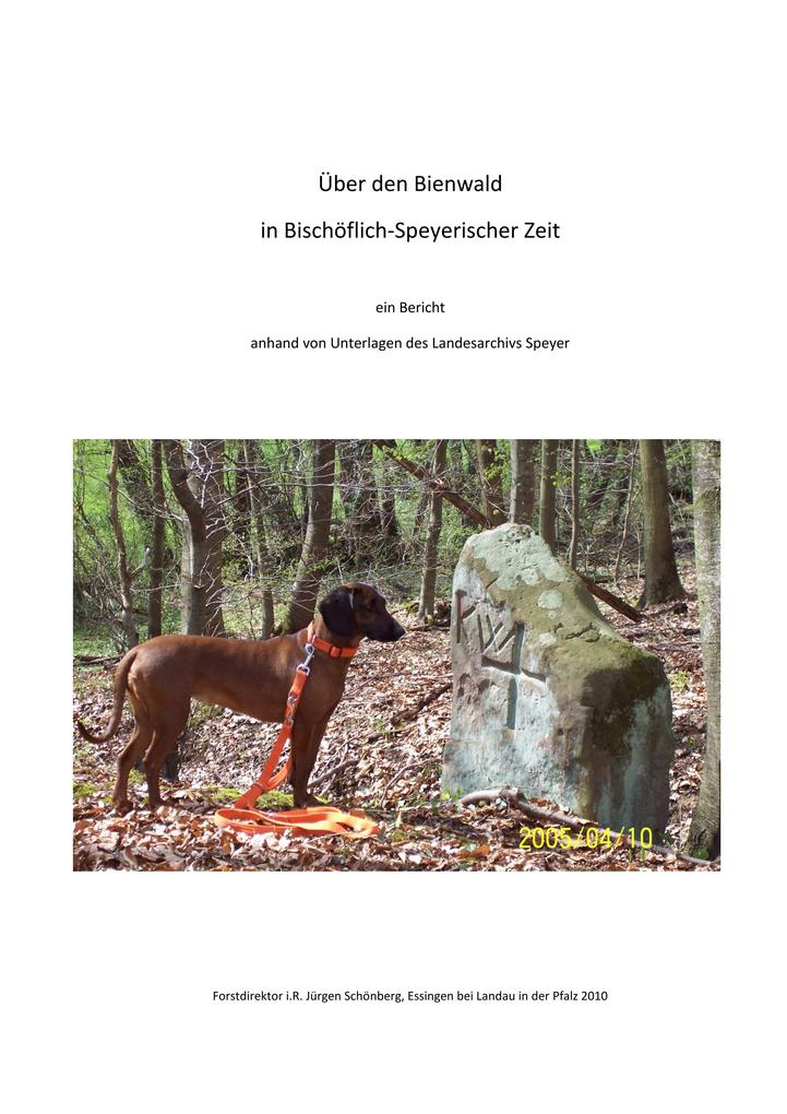 Über den Bienwald in Bischöflich-Speyerischer Zeit