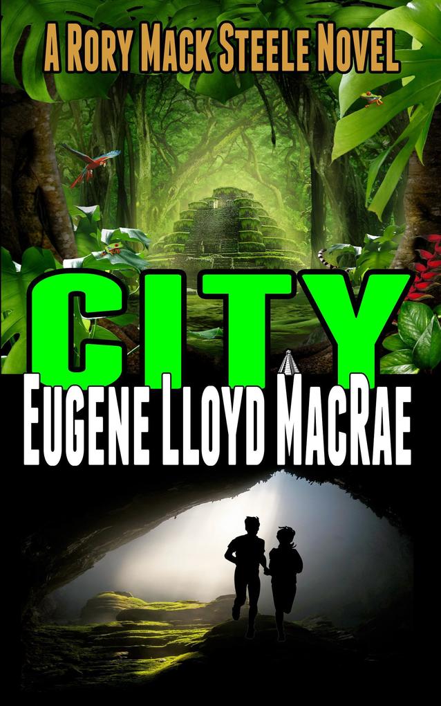 City (A Rory Mack Steele Novel #13)