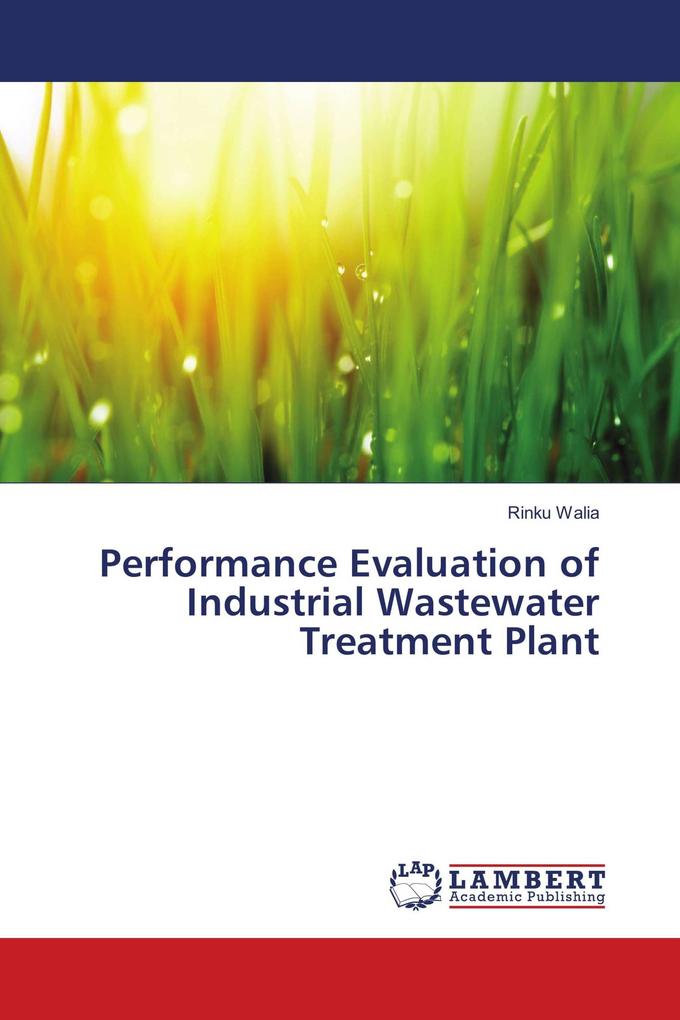 Performance Evaluation of Industrial Wastewater Treatment Plant