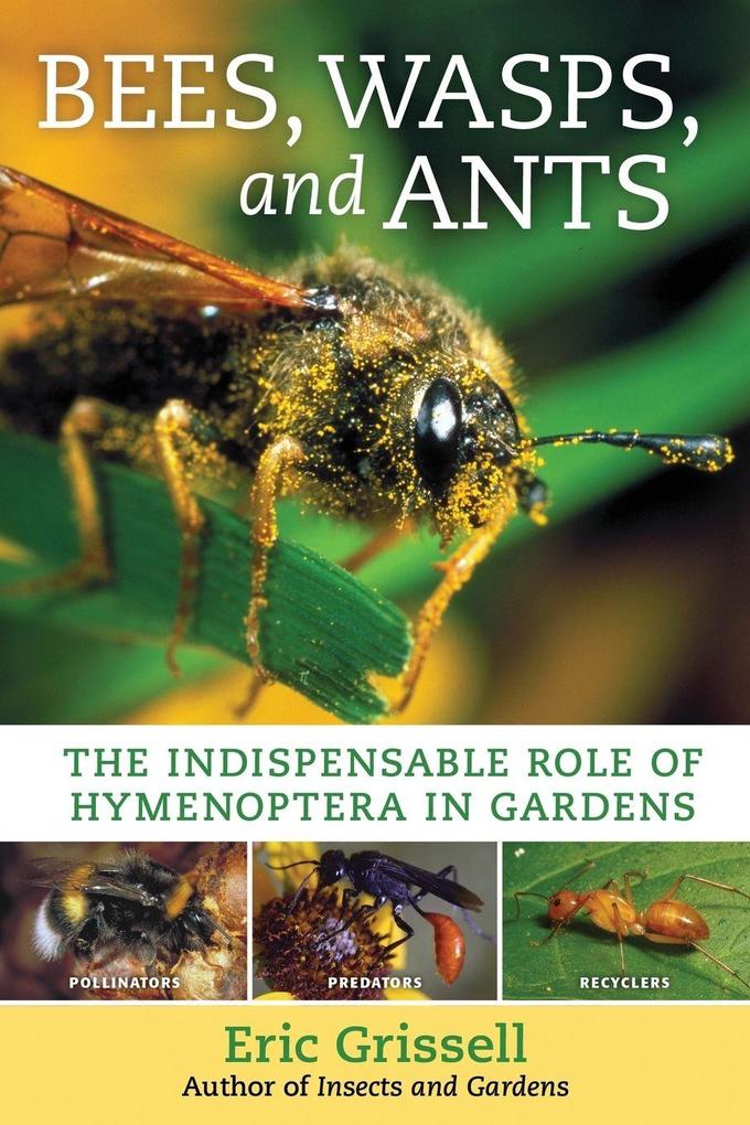 Bees Wasps and Ants