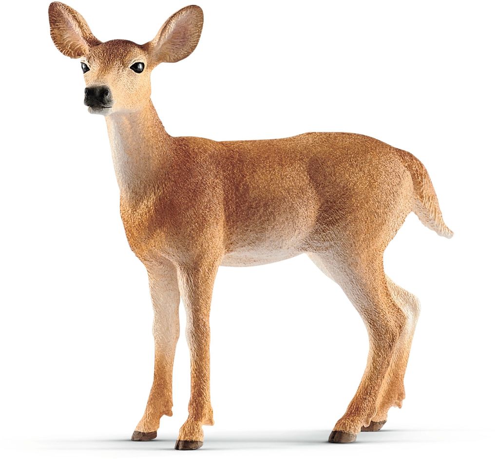 Image of Schleich - Wild Life - Weisswedelkuh