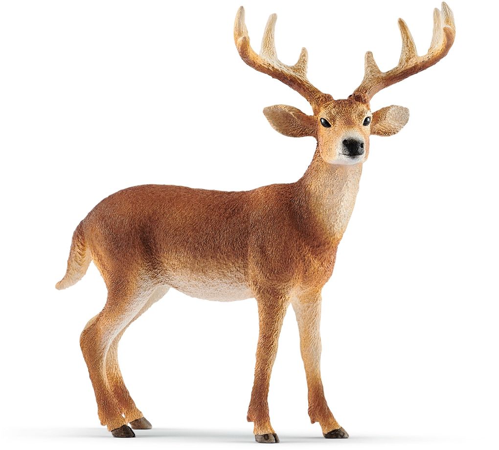Schleich White Tailed Buck