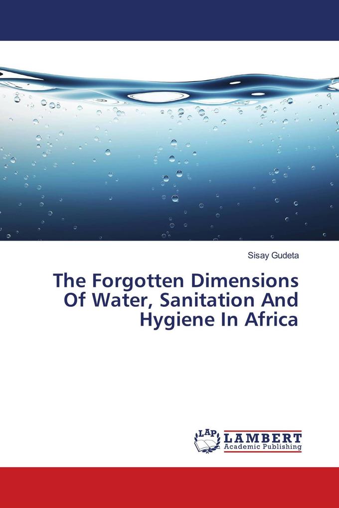 The Forgotten Dimensions Of Water Sanitation And Hygiene In Africa