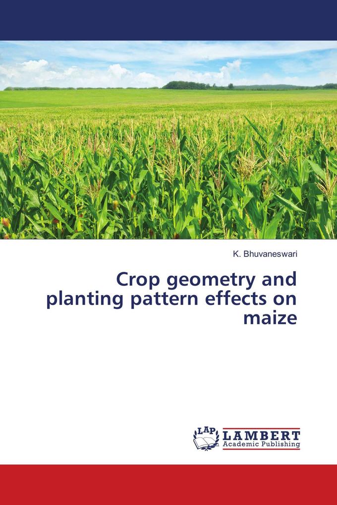 Crop geometry and planting pattern effects on maize