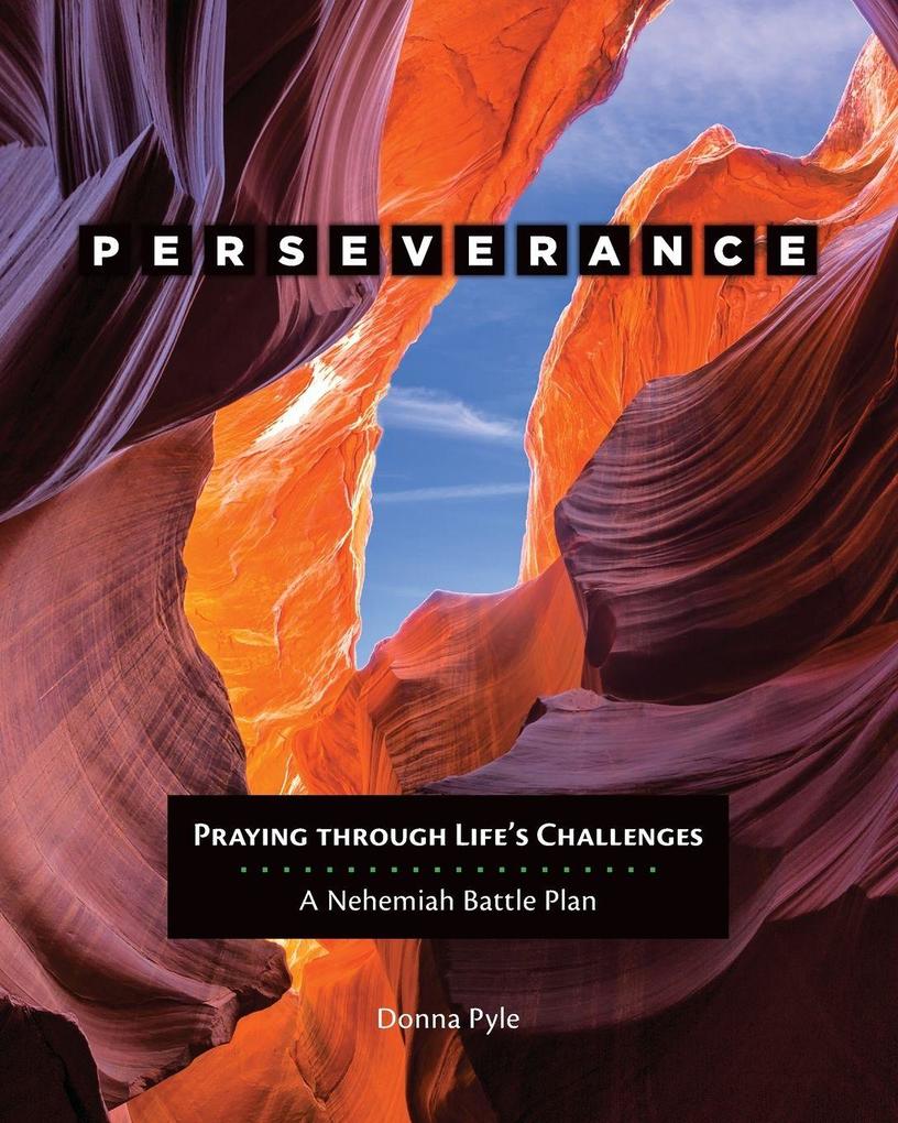 Perseverance