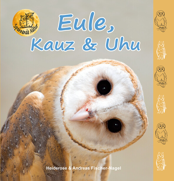 Eule Kauz & Uhu