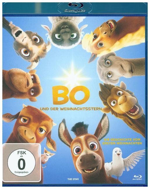 Bo und der Weihnachtsstern