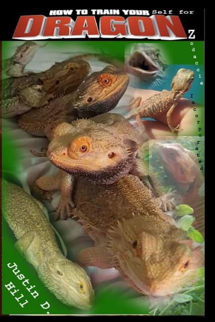 How to Train Yourself for Dragonz: A comprehenive beginner‘s guide to Pogona parenting at it‘s finest