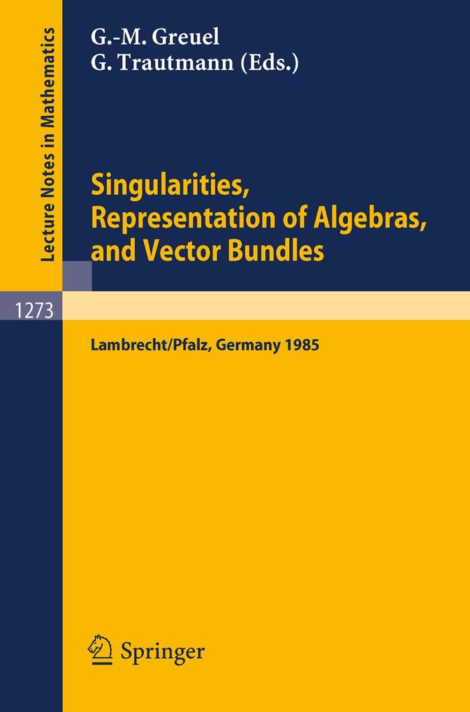 Singularities Representation of Algebras and Vector Bundles