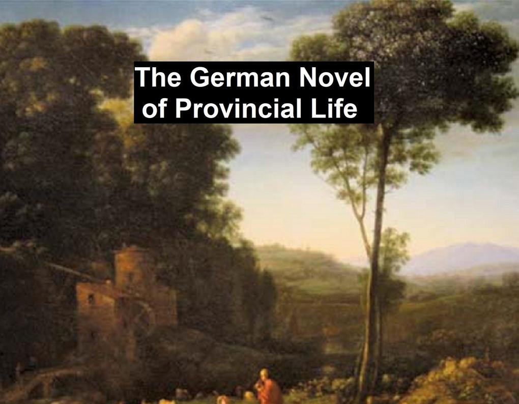 The German Novel of Provincial Life