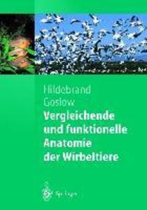 Vergleichende und funktionelle Anatomie der Wirbeltiere - Milton Hildebrand/ George Goslow
