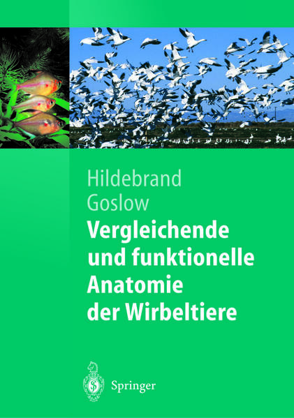Vergleichende und funktionelle Anatomie der Wirbeltiere