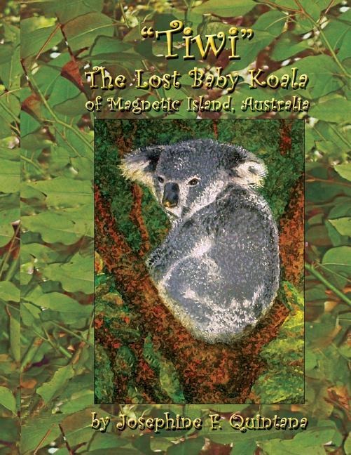 Tiwi the Lost Baby Koala of Magnetic Island Australia