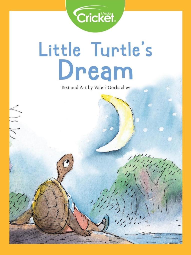 Little Turtle‘s Dream