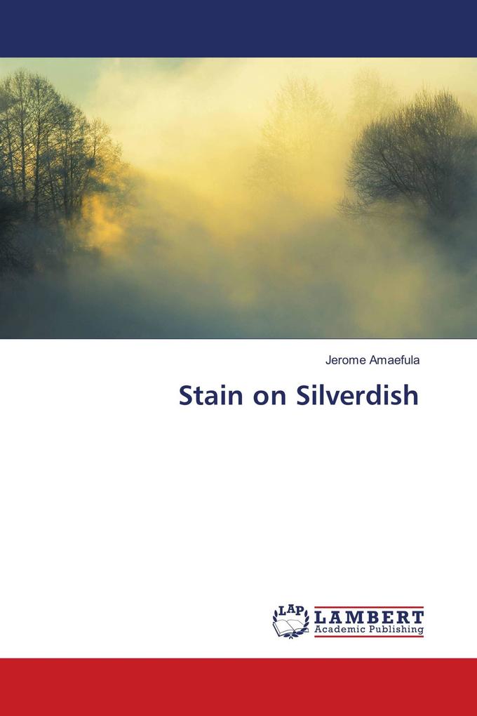 Stain on Silverdish