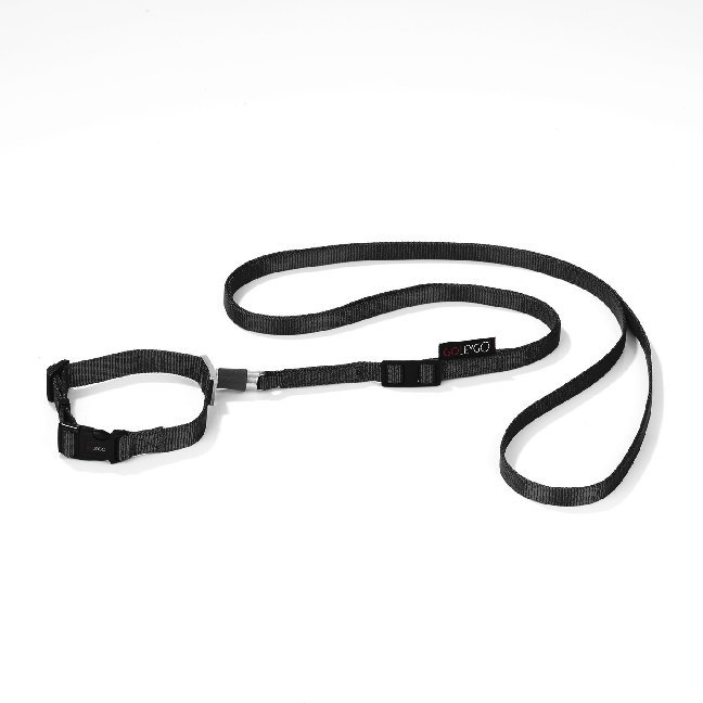 GoLeyGo Hundeleine & Halsband S schwarz