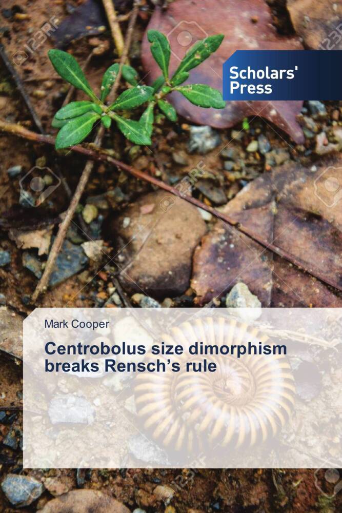 Centrobolus size dimorphism breaks Rensch's rule