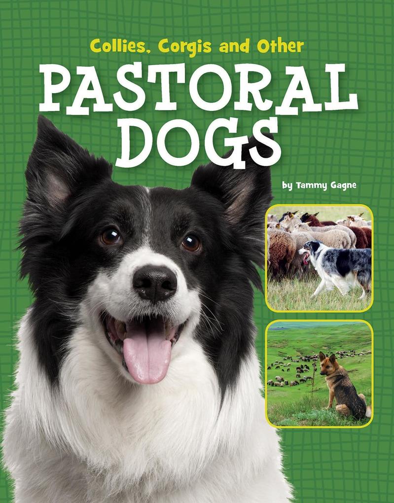 Collies Corgis and Other Pastoral Dogs