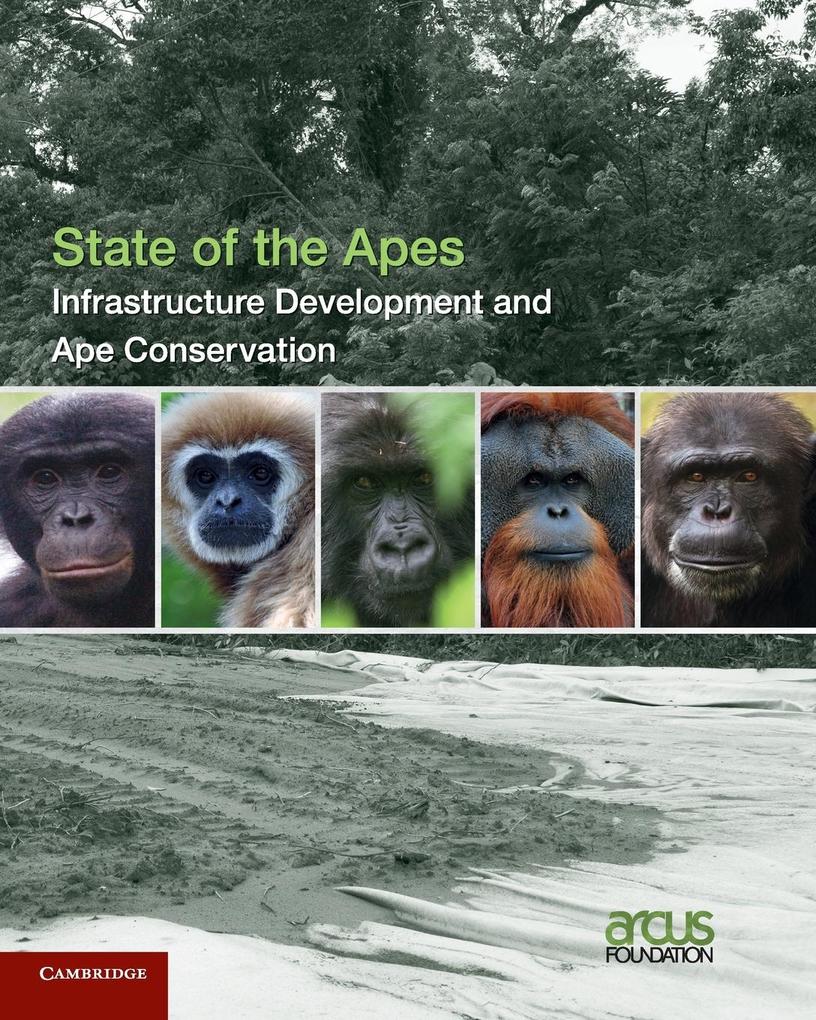 Infrastructure Development and Ape Conservation