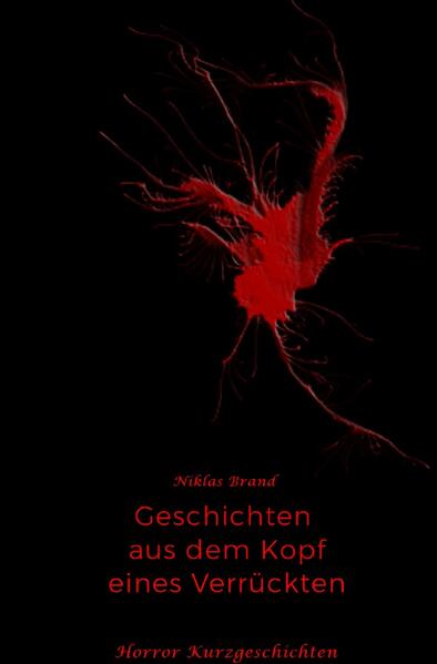 Image of Geschichten aus dem Kopf eines Verrückten