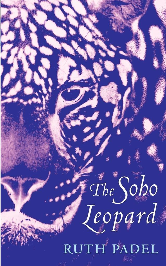 The Soho Leopard