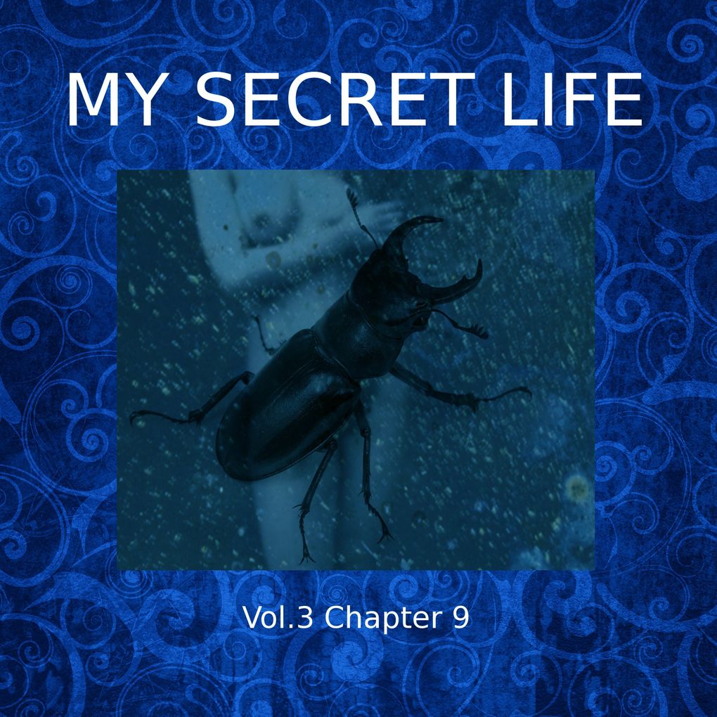 My Secret Life Vol. 3 Chapter 9