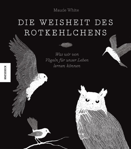 Image of Die Weisheit des Rotkehlchens