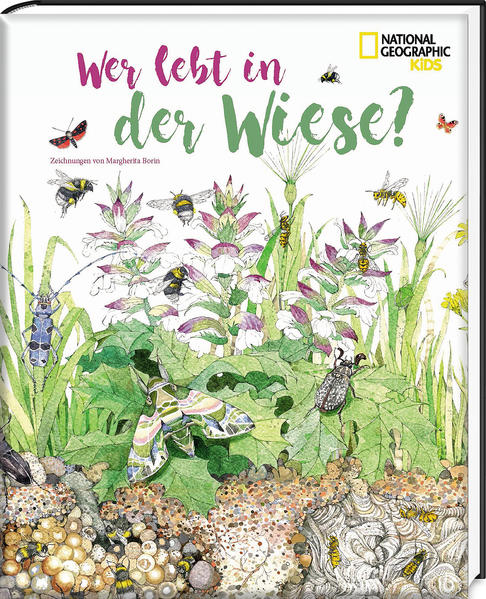 Image of Wer lebt in der Wiese?