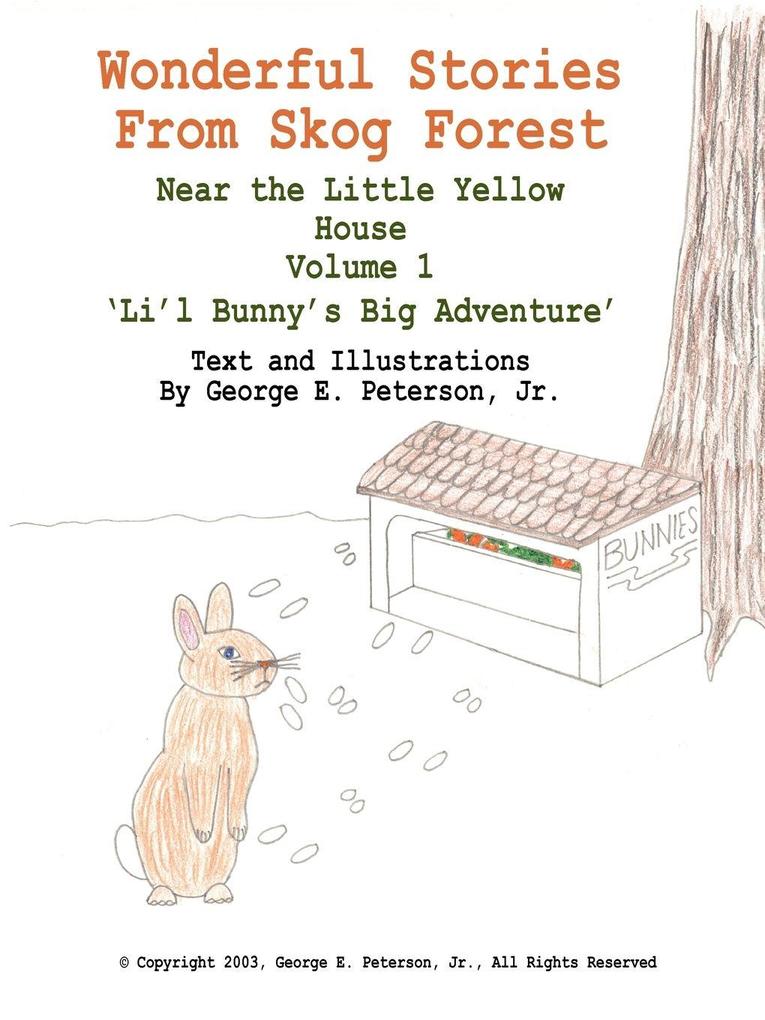 Wonderful Stories From Skog Forest