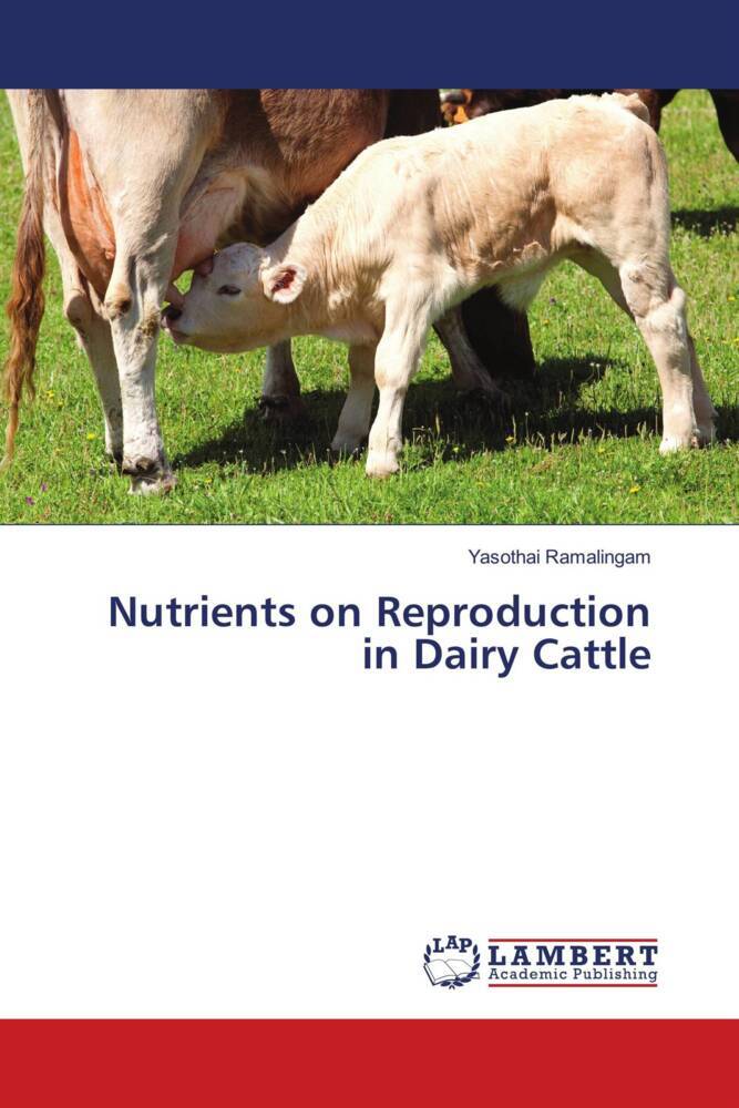 Nutrients on Reproduction in Dairy Cattle