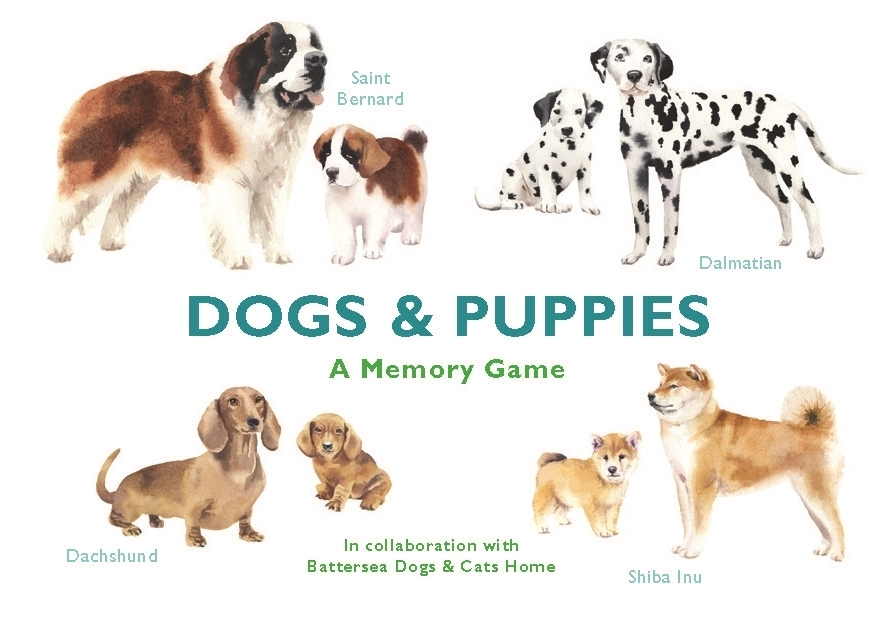 Dogs & Puppies