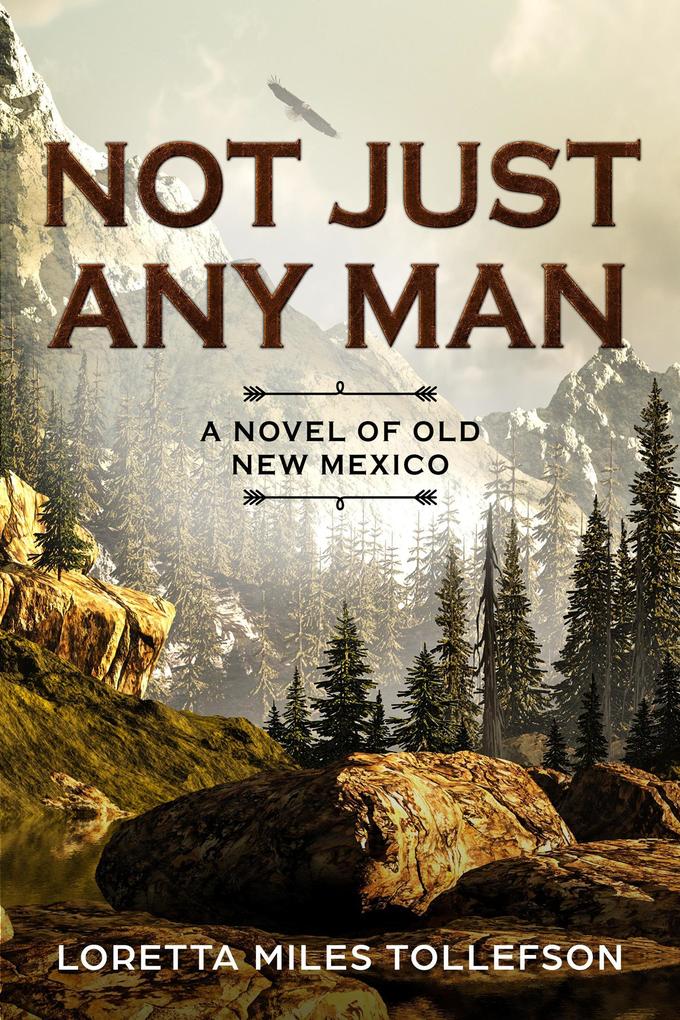 Not Just Any Man (Novels of Old New Mexico #1)