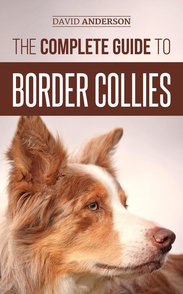 The Complete Guide to Border Collies: Training Teaching Feeding Raising and Loving Your New Border Collie Puppy