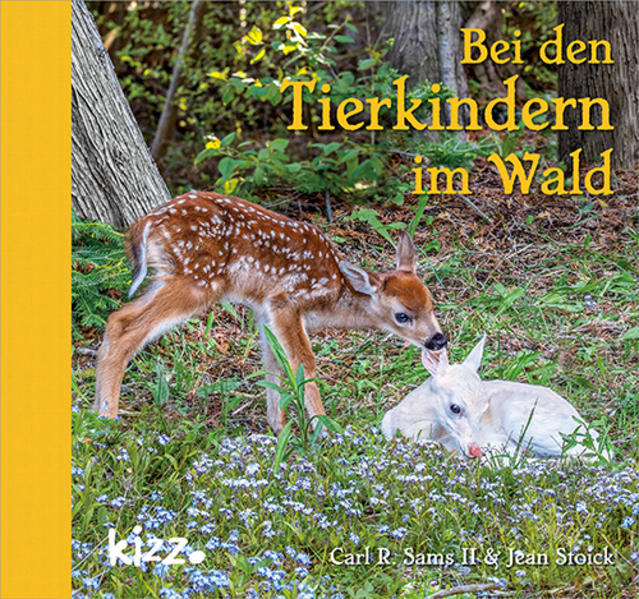 Image of Bei den Tierkindern im Wald