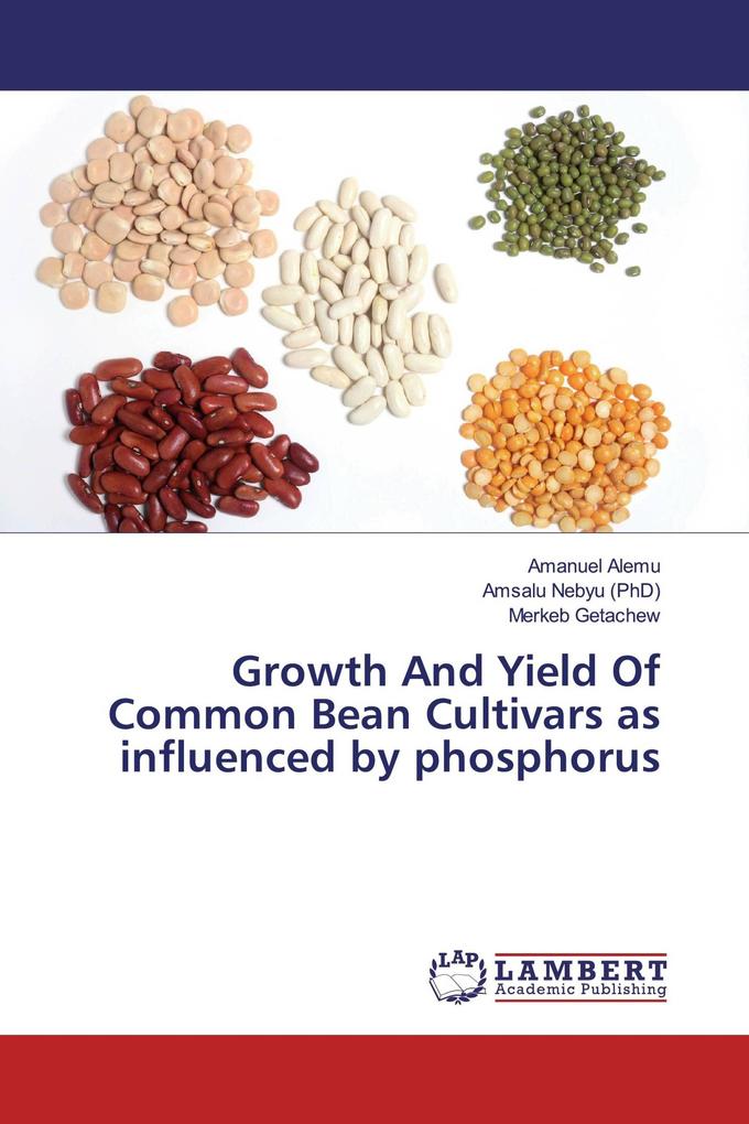 Growth And Yield Of Common Bean Cultivars as influenced by phosphorus