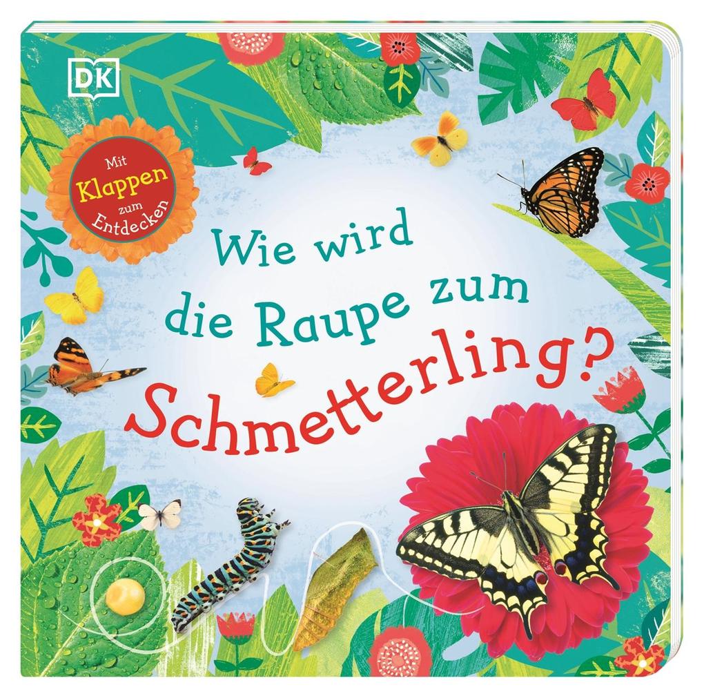 Image of Wie wird die Raupe zum Schmetterling?