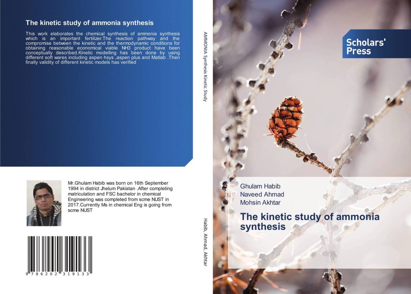 The kinetic study of ammonia synthesis
