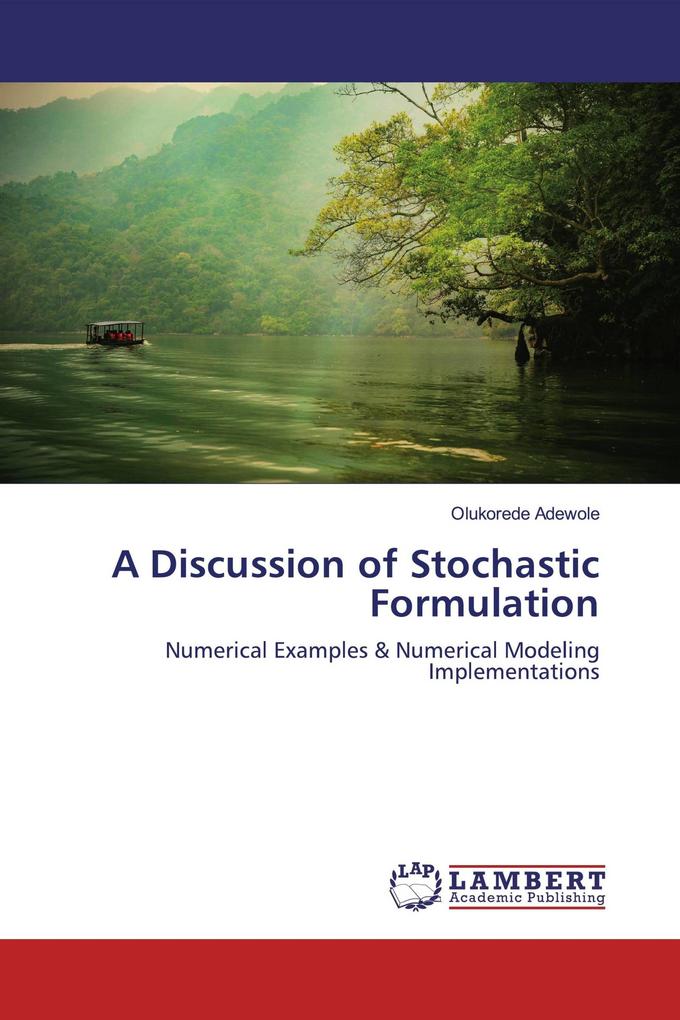 A Discussion of Stochastic Formulation