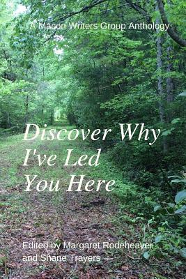 Discover Why I‘ve Led You Here: A Macon Writers Group Anthology