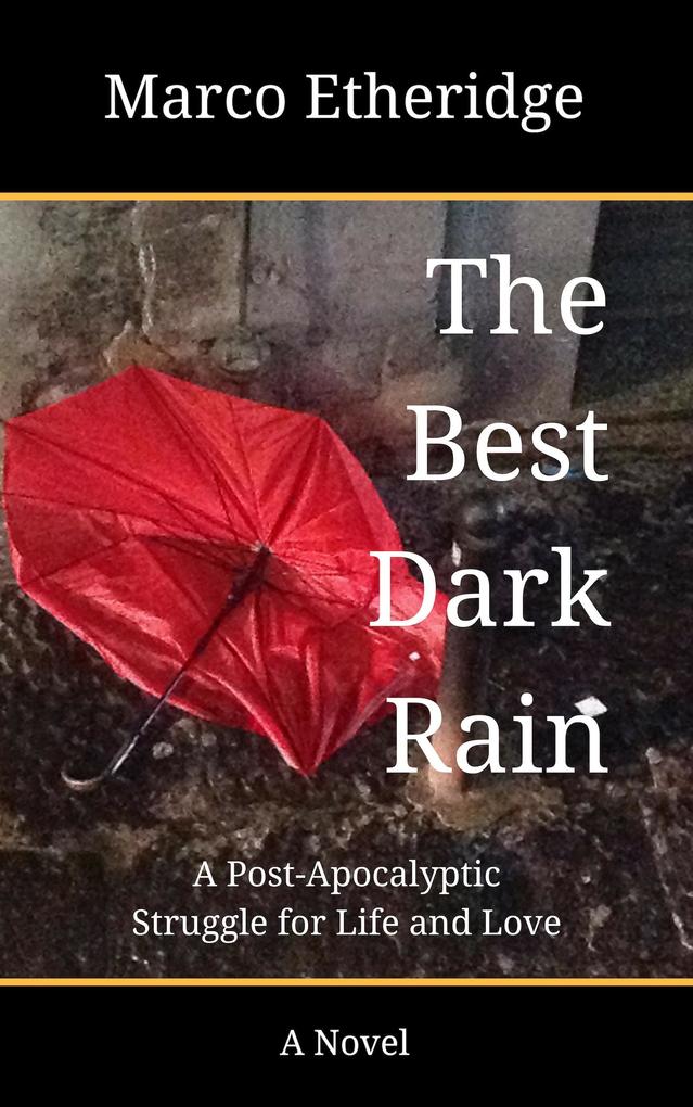 The Best Dark Rain: A Post-Apocalyptic Struggle for Life and Love