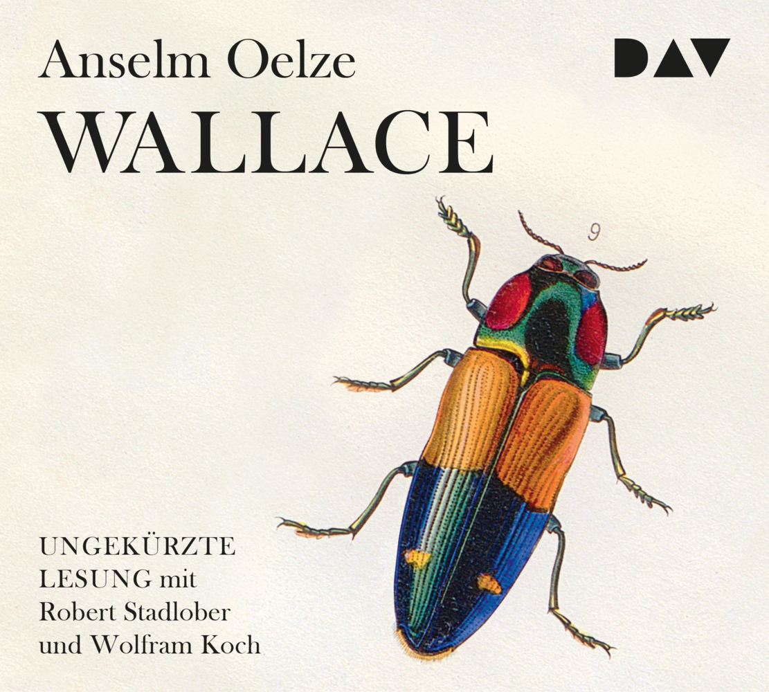 Wallace 6 Audio-CDs