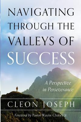 Navigating Through The Valleys Of Success: A Perspective In Perseverance