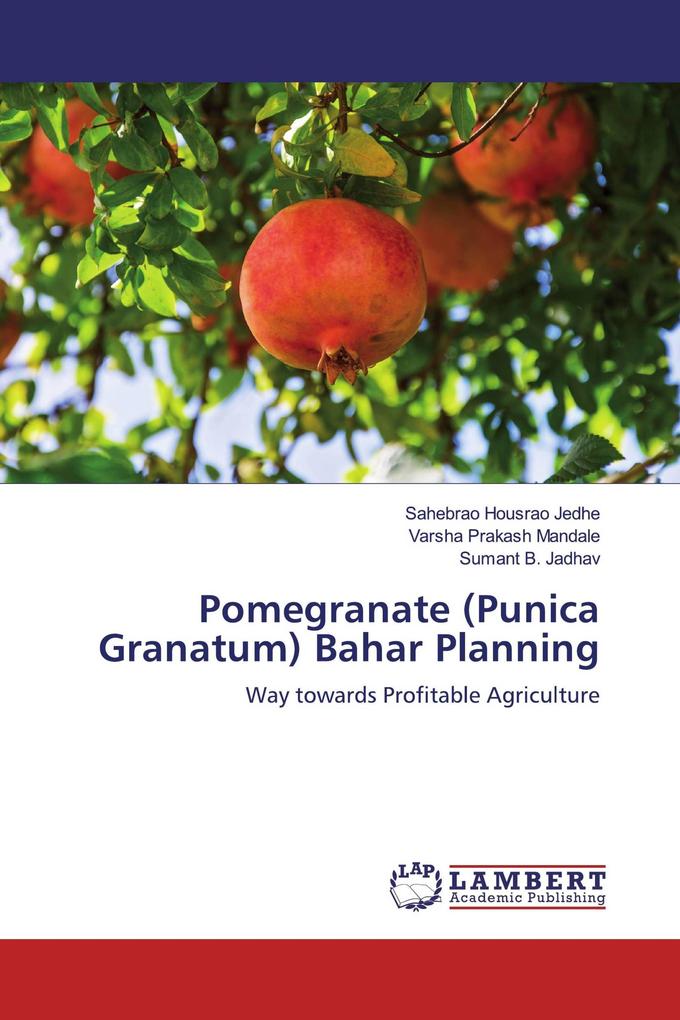 Pomegranate (Punica Granatum) Bahar Planning