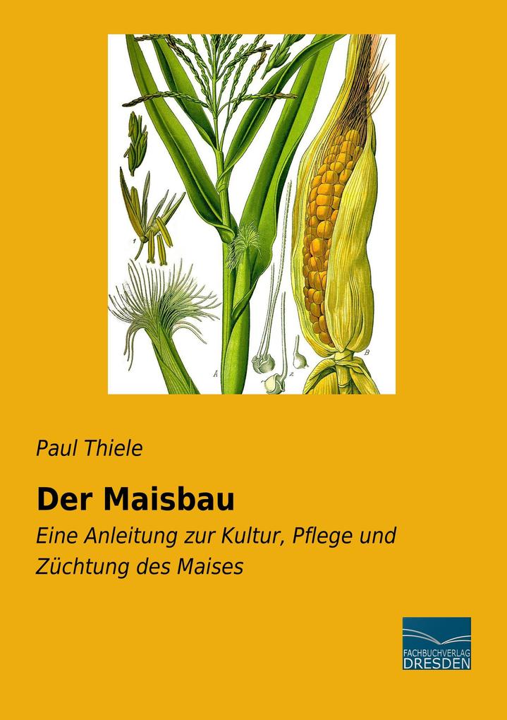 Der Maisbau