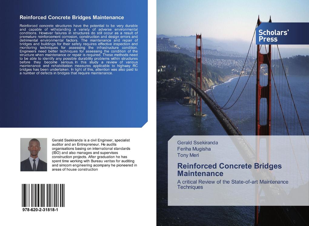 Reinforced Concrete Bridges Maintenance