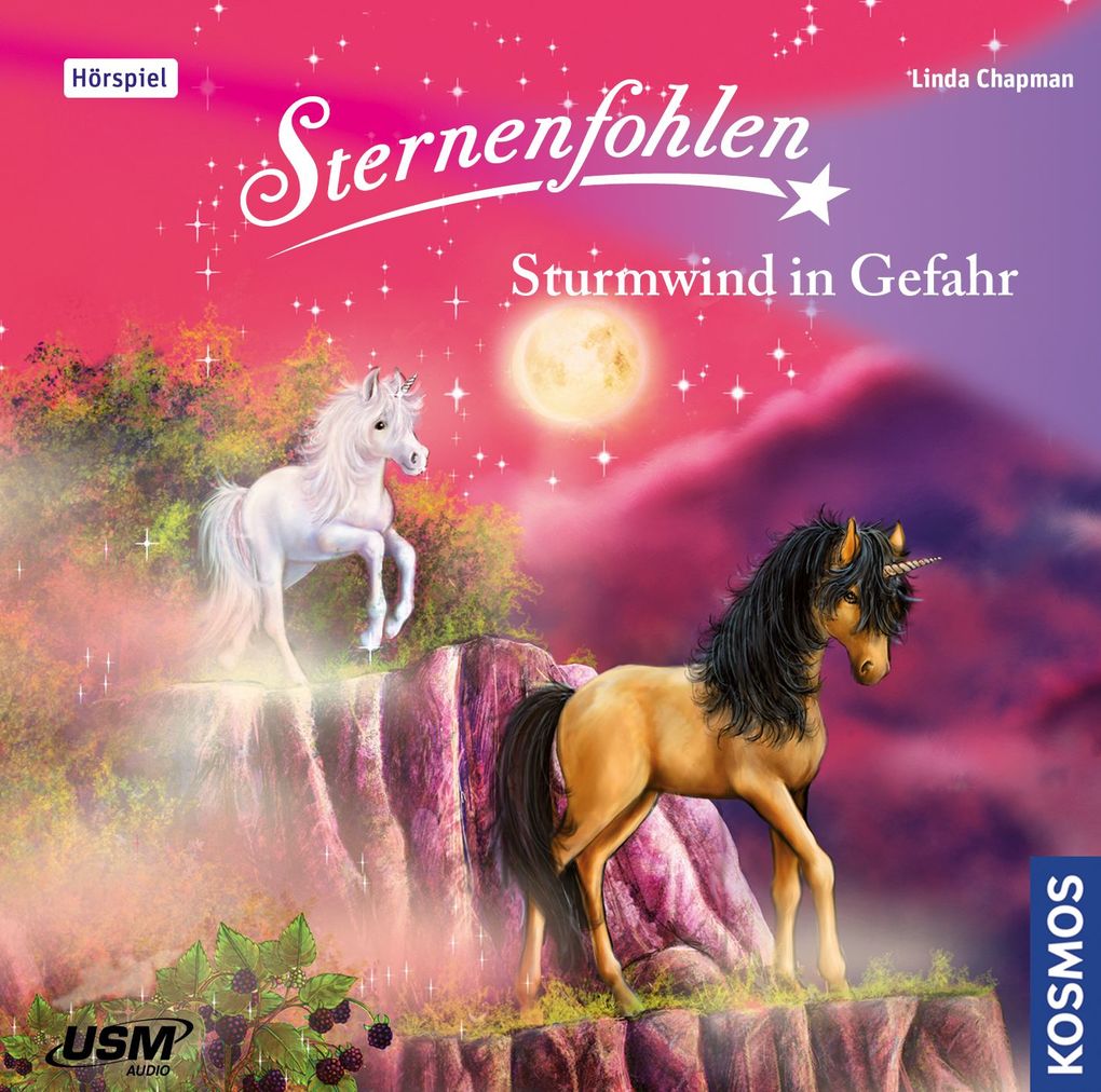 Sternenfohlen - Sturmwind in Gefahr1 Audio-CD