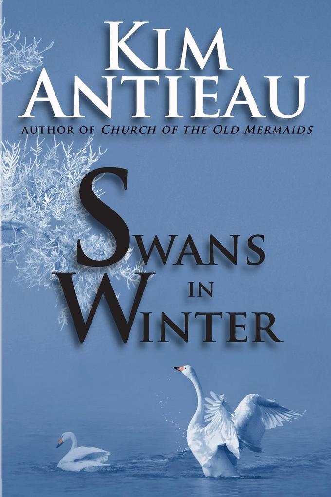 Swans in Winter