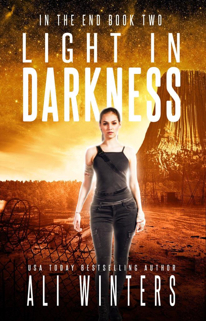 Light in Darkness (In The End #2)