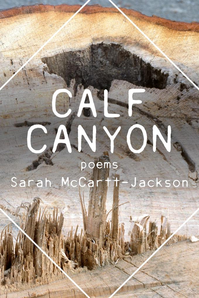 Calf Canyon (The Mineral Point Poetry Series #10)