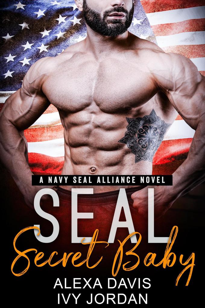 Seal Secret Baby (SEAL Alliance Romance Series #4)